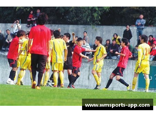 球场之外：聚焦球员妻子的生活与故事