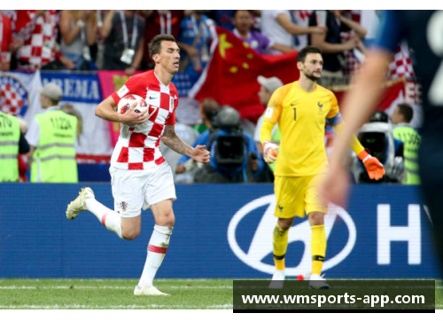 球场暴力：挑战体育精神的血与火对决