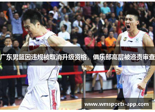 广东男篮因违规被取消升级资格，俱乐部高层被追责审查