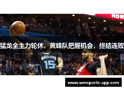 猛龙全主力轮休，黄蜂队把握机会，终结连败